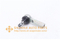 //jmrorwxhrjlnlo5q.leadongcdn.com/cloud/piBpqKplRliSrjioimlmk/SSE-4831-48520-3S525-SE-4831-CEN-98-TIE-ROD-END-OUT-RL-60-60.jpg