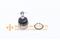 //jmrorwxhrjlnlo5q.leadongcdn.com/cloud/pmBpqKplRliSrjlormlnj/SSB-N281-40110-EB30A-SB-N281-BALL-JOINT-UP-RL-60-60.jpg
