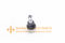//jmrorwxhrjlnlo5q.leadongcdn.com/cloud/poBpqKplRliSrjlormljj/SSB-H11251220-SYY-010BALLJOINTLOWRL-60-60.jpg