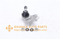 //jmrorwxhrjlnlo5q.leadongcdn.com/cloud/ppBpqKplRliSrjroinlii/SSB-3962-43330-09190-SB-3962-CBT-67-BALL-JOINT-LOW-RL-60-60.jpg